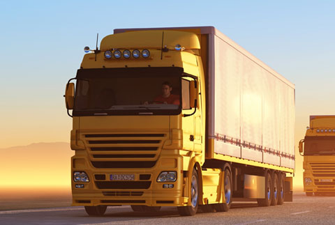 Over 750 Vehicles
